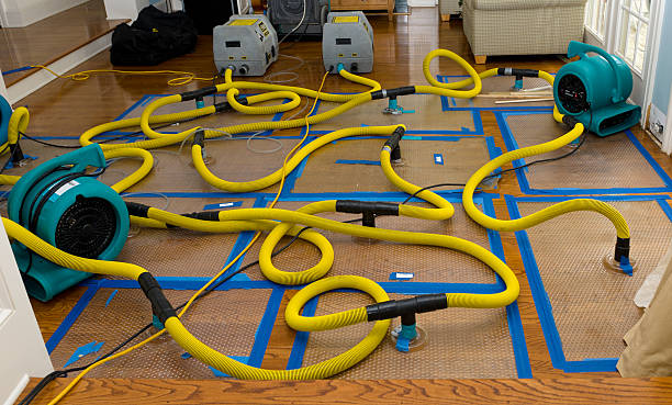 Professional Burst Pipe Water Damage technician working in Cannelton, WV